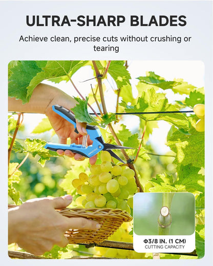 6.5" Small Pruning Shears for Gardening, Plant Trimming Scissors