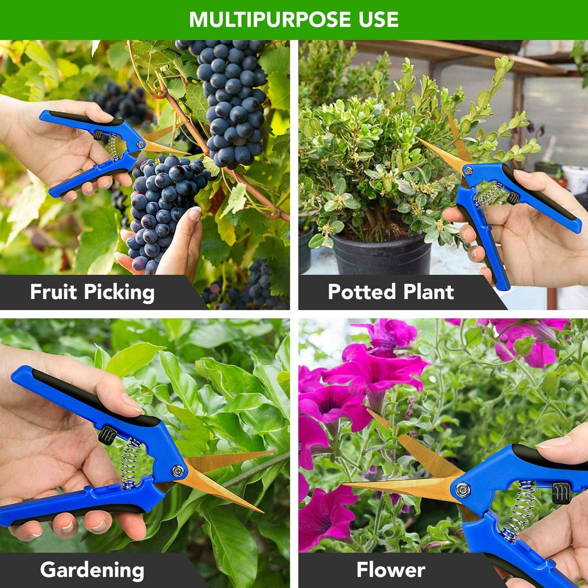 6.5 Inch Gardening Hand Pruner Pruning Shears Trimming Scissors with Straight Stainless Steel Blades for Bonsai, Herb, Bud, Hedge, Yellow