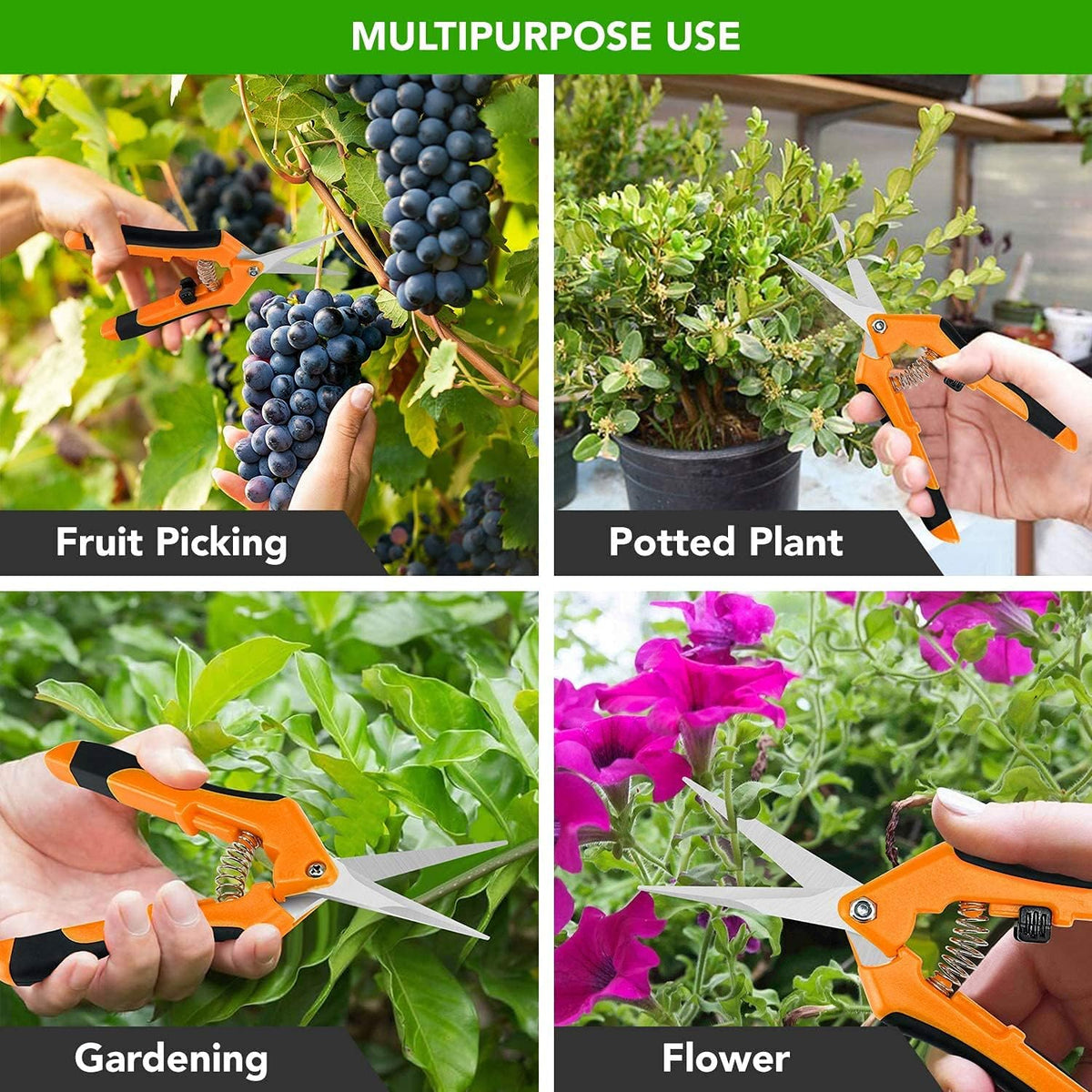 6.5 Inch Gardening Hand Pruner Pruning Shears Trimming Scissors with Straight Stainless Steel Blades for Bonsai, Herb, Bud, Hedge, Yellow