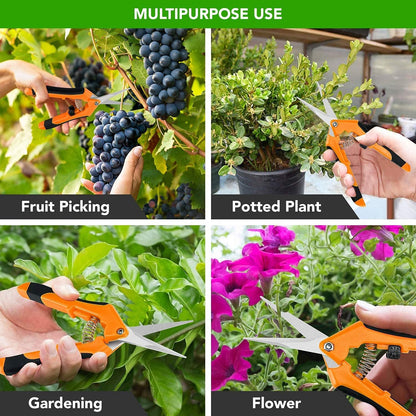 6.5 Inch Gardening Hand Pruner Pruning Shears Trimming Scissors with Straight Stainless Steel Blades for Bonsai, Herb, Bud, Hedge, Yellow