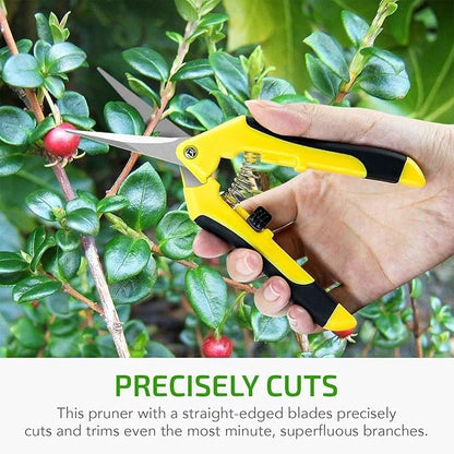 6.5 Inch Gardening Hand Pruner Pruning Shears Trimming Scissors with Straight Stainless Steel Blades for Bonsai, Herb, Bud, Hedge, Yellow