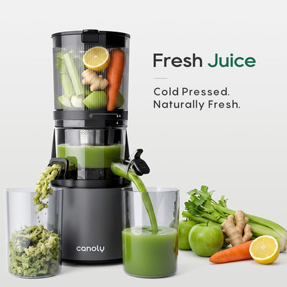 3-in-1 Cold Press Juicer C16, Makes Juice & Sorbet & Nut Milk