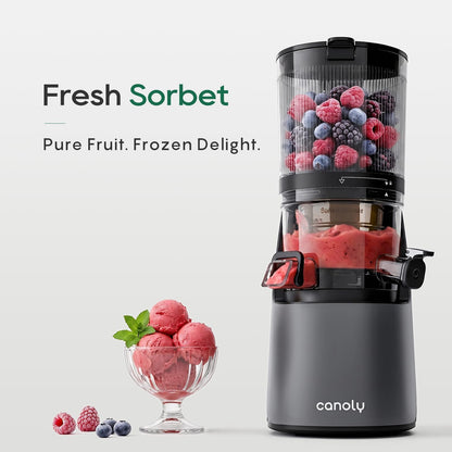3-in-1 Cold Press Juicer C16, Makes Juice & Sorbet & Nut Milk