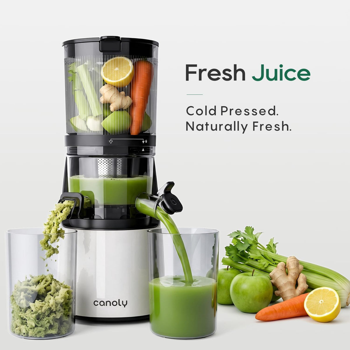 3-in-1 Cold Press Juicer C16, Makes Juice & Sorbet & Nut Milk