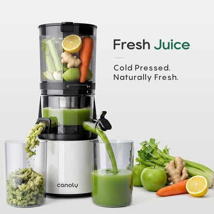 3-in-1 Cold Press Juicer C16, Makes Juice & Sorbet & Nut Milk