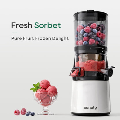 3-in-1 Cold Press Juicer C16, Makes Juice & Sorbet & Nut Milk