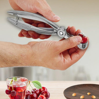 Stainless Steel Cherry Pitter Tool Fruit Pit Remover