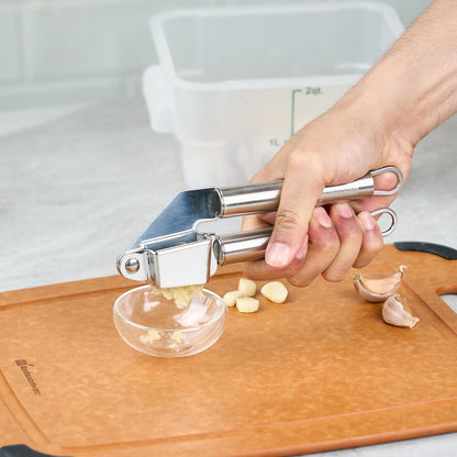 Stainless Steel Garlic Press - German Standard Garlic Mincer Tool Easy to Squeeze and Clean, Dishwasher Safe - Heavy Duty Garlic Chopper Tool for Ginger, Seeds