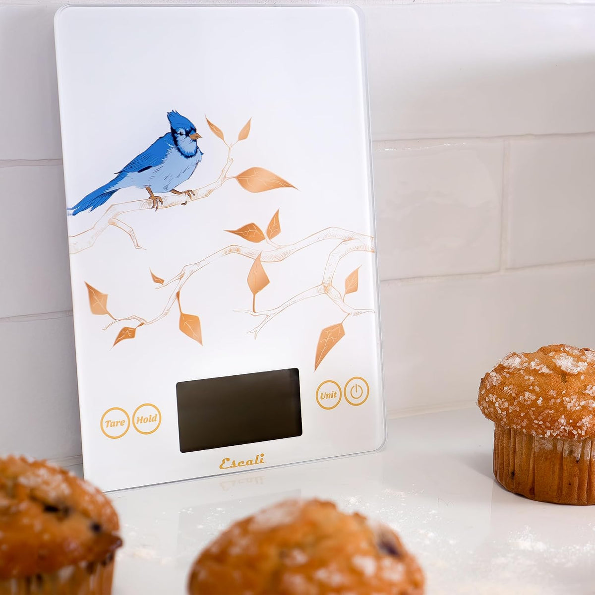 Arti Glass Food Scale Digital Countertop Kitchen, Baking and Cooking Scale with Nutrition and Calorie Counter, 15-Pound Capacity, 9" x 6.5" x .75", Gray Storm