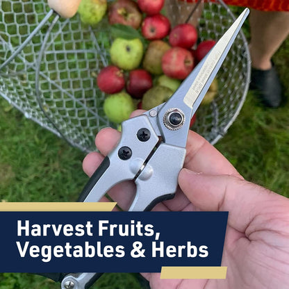Pruning Shears - Garden Scissors Florist Snips - 2.5” Blades - Flower Scissors for Cutting Fresh Flowers, Trimming, or Harvesting Herbs or Fruit - Pruners for Gardening Tools