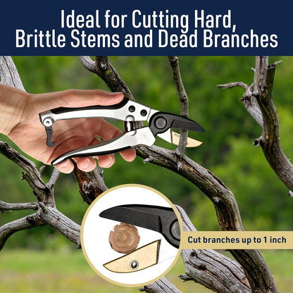 Pruning Shears - Garden Scissors Florist Snips - 2.5” Blades - Flower Scissors for Cutting Fresh Flowers, Trimming, or Harvesting Herbs or Fruit - Pruners for Gardening Tools