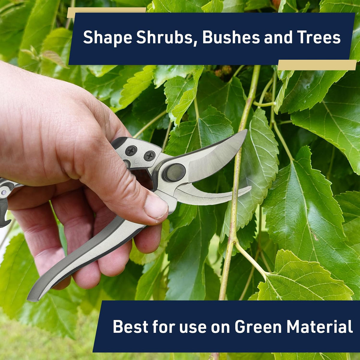 Pruning Shears - Garden Scissors Florist Snips - 2.5” Blades - Flower Scissors for Cutting Fresh Flowers, Trimming, or Harvesting Herbs or Fruit - Pruners for Gardening Tools