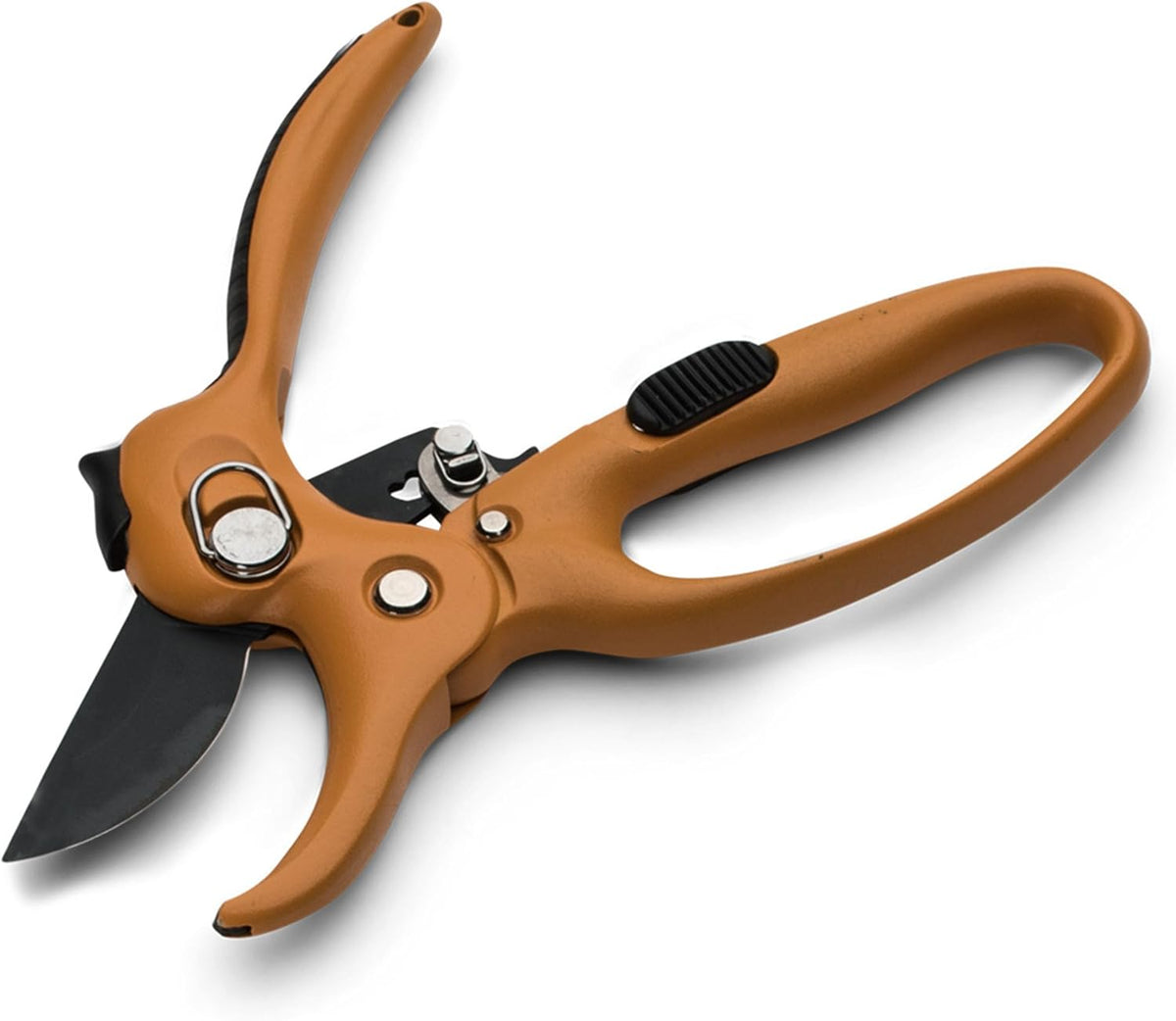 Pruning Shears - Garden Scissors Florist Snips - 2.5” Blades - Flower Scissors for Cutting Fresh Flowers, Trimming, or Harvesting Herbs or Fruit - Pruners for Gardening Tools