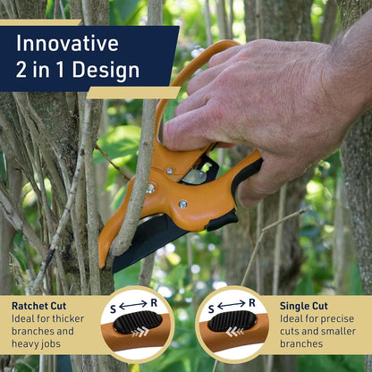 Pruning Shears - Garden Scissors Florist Snips - 2.5” Blades - Flower Scissors for Cutting Fresh Flowers, Trimming, or Harvesting Herbs or Fruit - Pruners for Gardening Tools