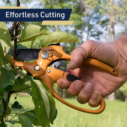 Pruning Shears - Garden Scissors Florist Snips - 2.5” Blades - Flower Scissors for Cutting Fresh Flowers, Trimming, or Harvesting Herbs or Fruit - Pruners for Gardening Tools
