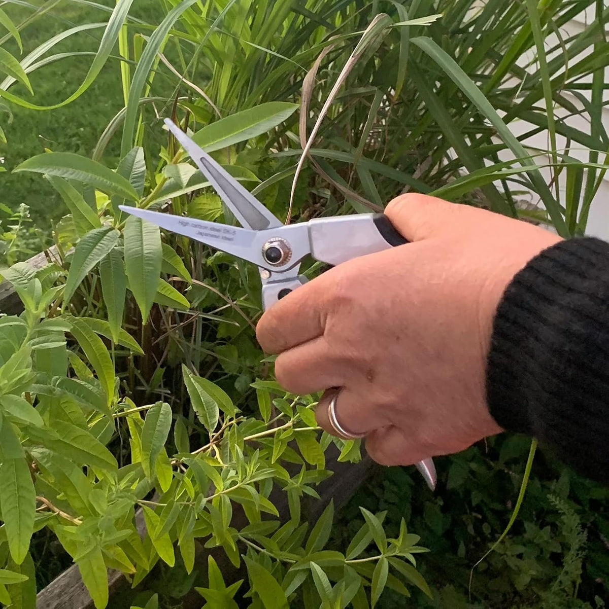 Pruning Shears - Garden Scissors Florist Snips - 2.5” Blades - Flower Scissors for Cutting Fresh Flowers, Trimming, or Harvesting Herbs or Fruit - Pruners for Gardening Tools