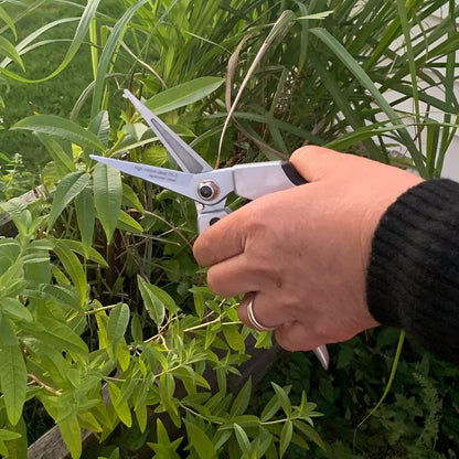 Pruning Shears - Garden Scissors Florist Snips - 2.5” Blades - Flower Scissors for Cutting Fresh Flowers, Trimming, or Harvesting Herbs or Fruit - Pruners for Gardening Tools