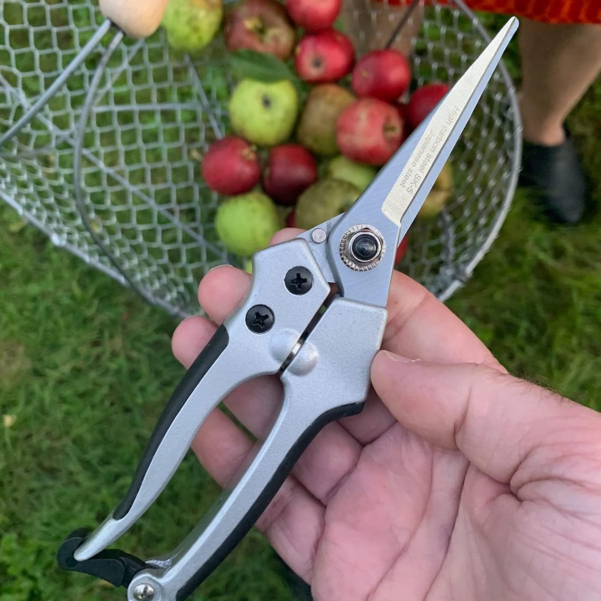 Pruning Shears - Garden Scissors Florist Snips - 2.5” Blades - Flower Scissors for Cutting Fresh Flowers, Trimming, or Harvesting Herbs or Fruit - Pruners for Gardening Tools