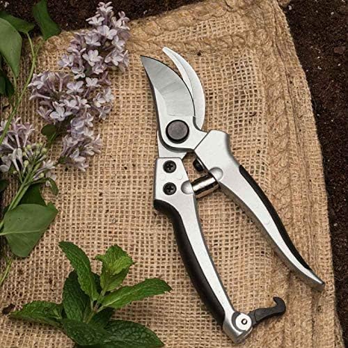 Pruning Shears - Garden Scissors Florist Snips - 2.5” Blades - Flower Scissors for Cutting Fresh Flowers, Trimming, or Harvesting Herbs or Fruit - Pruners for Gardening Tools