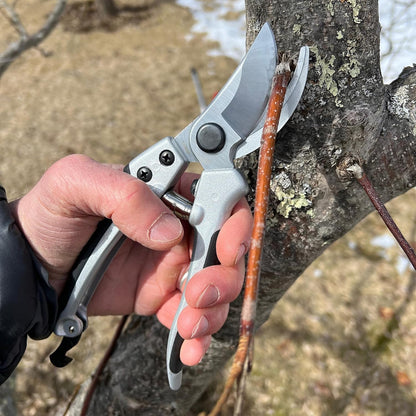 Pruning Shears - Garden Scissors Florist Snips - 2.5” Blades - Flower Scissors for Cutting Fresh Flowers, Trimming, or Harvesting Herbs or Fruit - Pruners for Gardening Tools