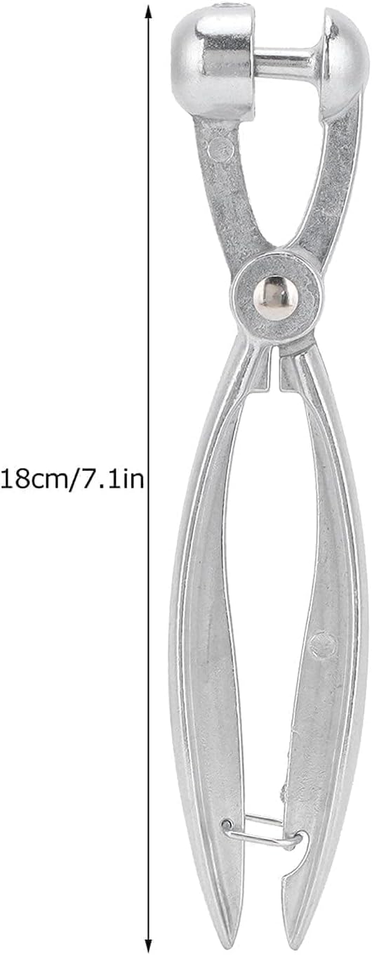 2PCS Cherry Pitter Tool, Cherry Pitter Tool Pit Remover Aluminum Alloy Cherry Seed Remover with Lock Design Cherry Corer Pitter Tool Olive Stoner Pitting Tool Alloy Olive Core Remover Tool