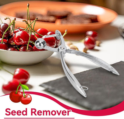 2PCS Cherry Pitter Tool, Cherry Pitter Tool Pit Remover Aluminum Alloy Cherry Seed Remover with Lock Design Cherry Corer Pitter Tool Olive Stoner Pitting Tool Alloy Olive Core Remover Tool