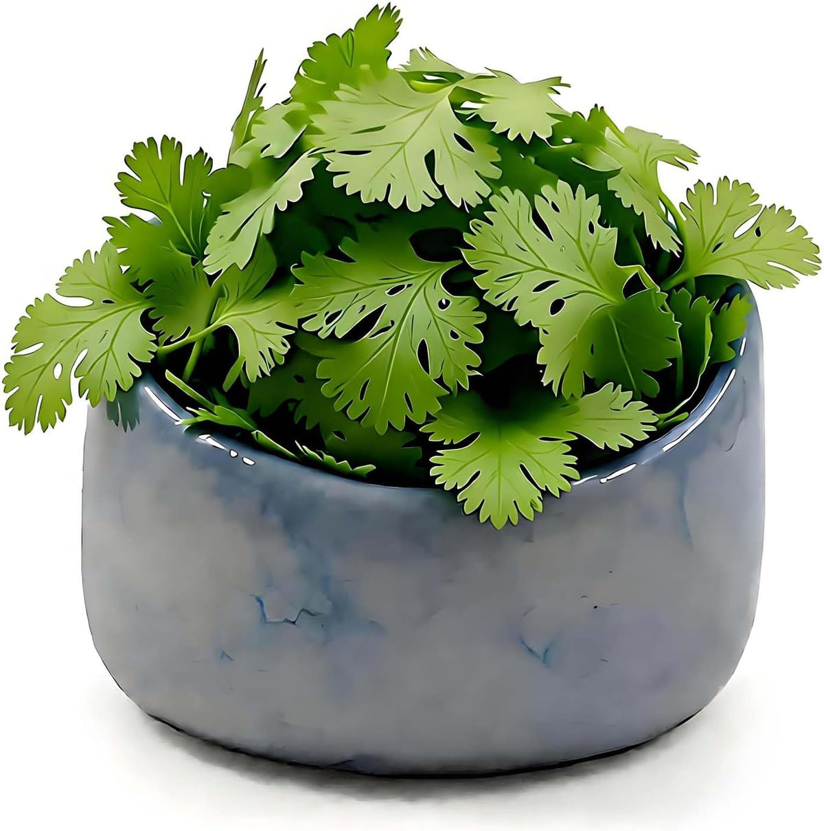 Pottery Herb Stripper Bowl Handmade Green Glazed Ceramic Kitchen Gadget with Four Sizes Holes for Rosemary Parsley Basil Kale Detach Leaves from Stem