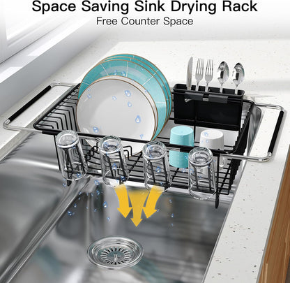 Black Dish Drying Rack in Sink, Dish Drainer with Utensil Holder