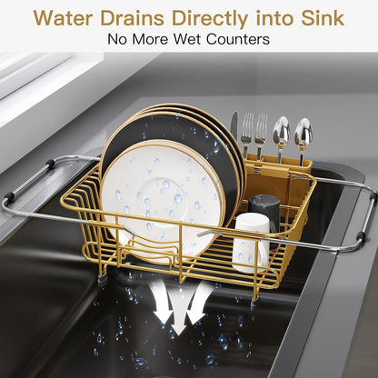 Black Dish Drying Rack in Sink, Dish Drainer with Utensil Holder