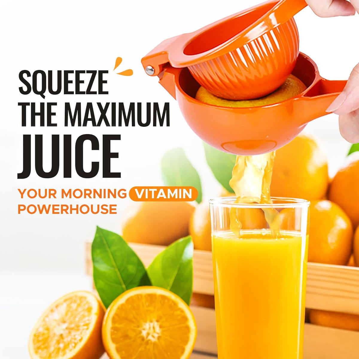Metal Orange Squeezer
