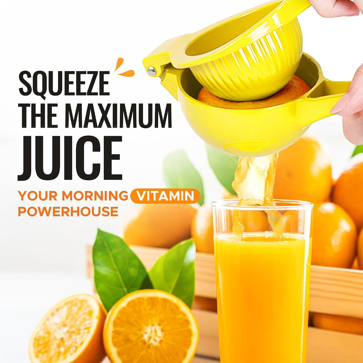 Metal Orange Squeezer