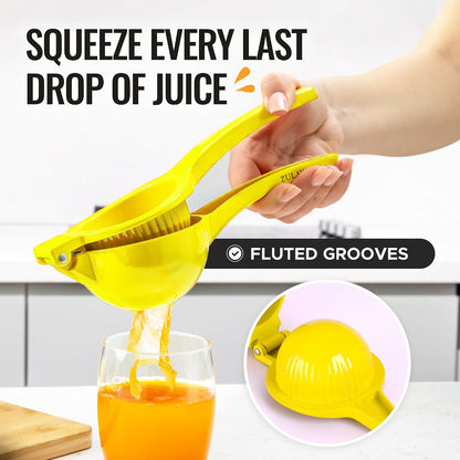 Metal Orange Squeezer