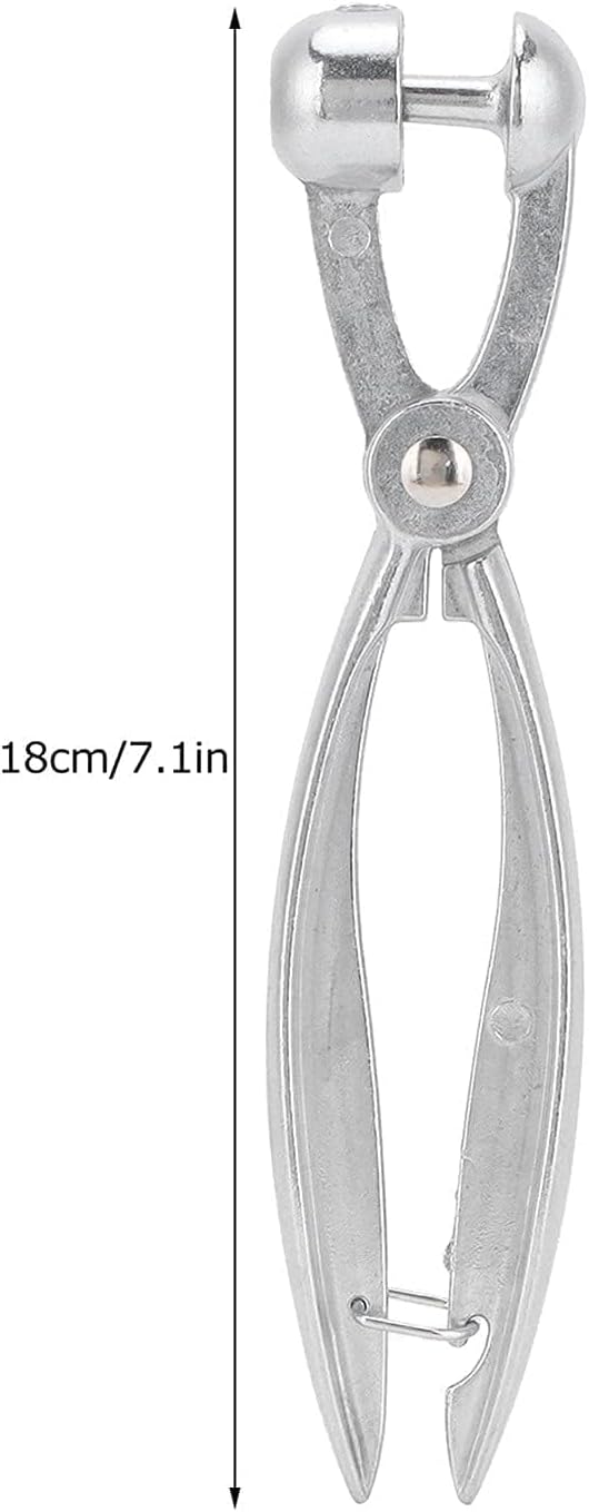 Cherry Pitter, Olive Stoner Pitter Olive Stainless Steel Cherry Picker Tool Heavy Duty Pit Picker Tool Fruit Pit Remover with Lock