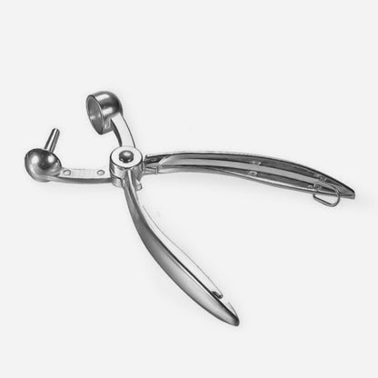 Stainless Steel Cherry Pitter for Cherries and Olives Kitchen Pit Remover