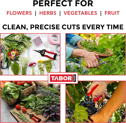 K7A Pruning Snips – 7,5" – Carbon Steel Flower Pruning Scissors for Gardening | Floral Snips and Pruners for Deadheading, Trimming & Harvesting Herbs, Flowers, Fruits or Vegetables