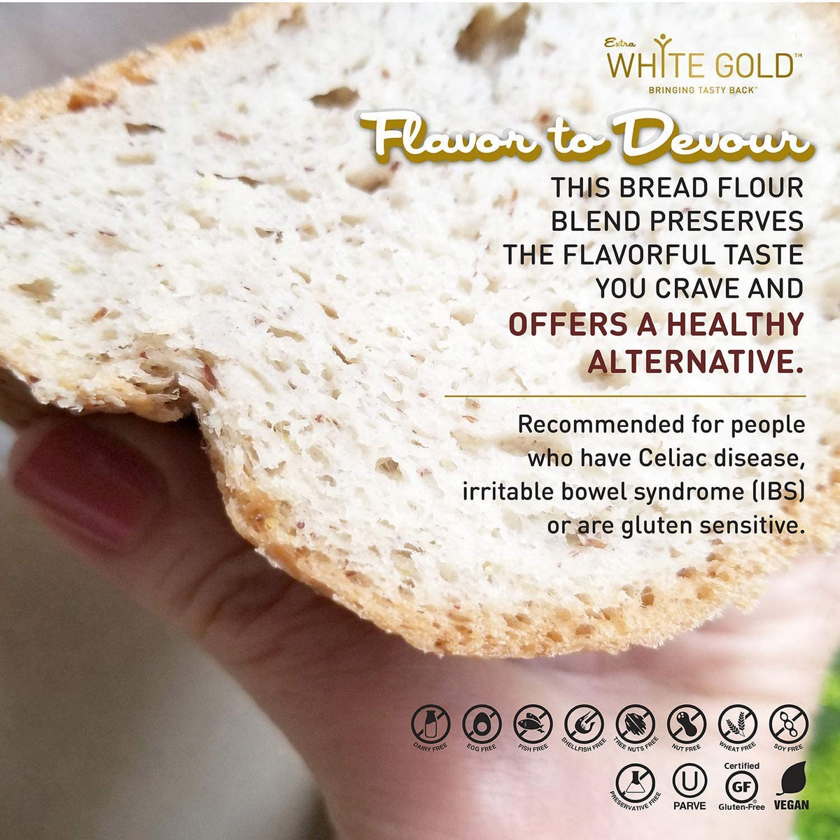 Gluten Free Bread Flour Blend – For Breads, Yeasted Pastries, Pizza, Focaccia – [Kosher] [Gluten Free] [Vegan] [Soy Free] [Nut Free] [Dairy Free] – 1.1 Pound