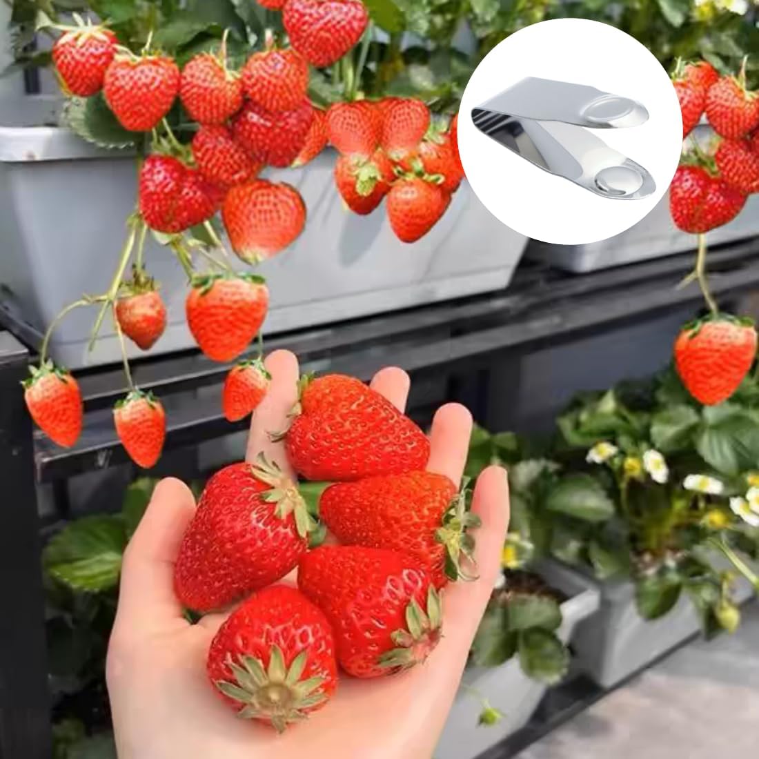 Stainless Steel Strawberry Huller Fruit Stem Remover Picker Leaf Peeler Tweezers Kitchen Gadgets for Strawberry Cherry Tomato Fruit Tools, 4Pcs