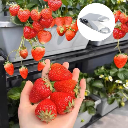 Stainless Steel Strawberry Huller Fruit Stem Remover Picker Leaf Peeler Tweezers Kitchen Gadgets for Strawberry Cherry Tomato Fruit Tools, 4Pcs