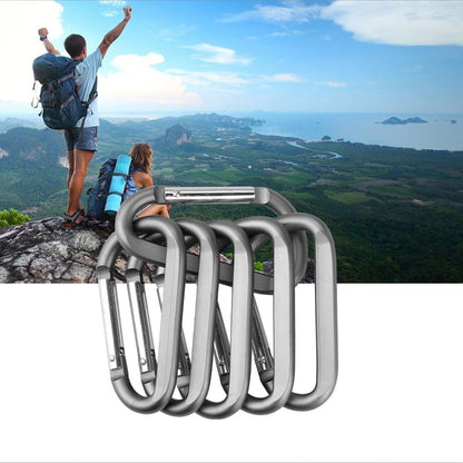 Carabiner Caribeaner Clip,3" Large Aluminum D Ring Shape Carabeaner with Keyring Keychain Hook