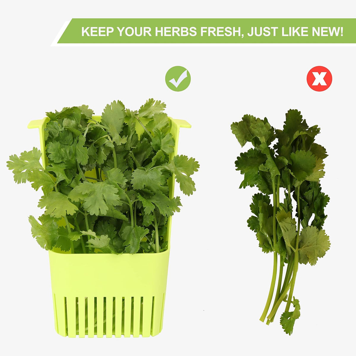 Herb Keeper Set: 3 Pack Herb Saver+1 Pack Herb Scissors+2 Pack Herb Stripper, BPA-Free Plastic Herb Container for Cilantro, Mint & Asparagus, Keeps Fresh Herbs for 3 Times Longer