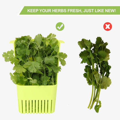Herb Keeper Set: 3 Pack Herb Saver+1 Pack Herb Scissors+2 Pack Herb Stripper, BPA-Free Plastic Herb Container for Cilantro, Mint & Asparagus, Keeps Fresh Herbs for 3 Times Longer