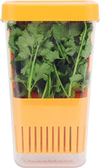 Herb Keeper Set: 3 Pack Herb Saver+1 Pack Herb Scissors+2 Pack Herb Stripper, BPA-Free Plastic Herb Container for Cilantro, Mint & Asparagus, Keeps Fresh Herbs for 3 Times Longer