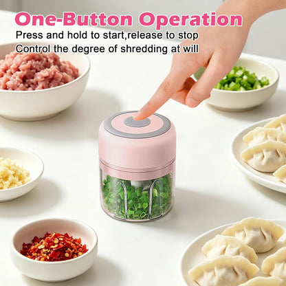 Electric Mini Garlic Mincer, 100ML USB Vegetable Onion Chopper | Portable Small Food Processor for Ginger, Chili, Vegetables