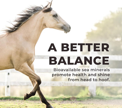 Daily Red Crushed Garlic | Horse Minerals & Vitamins Supplement | Garlic for Horses