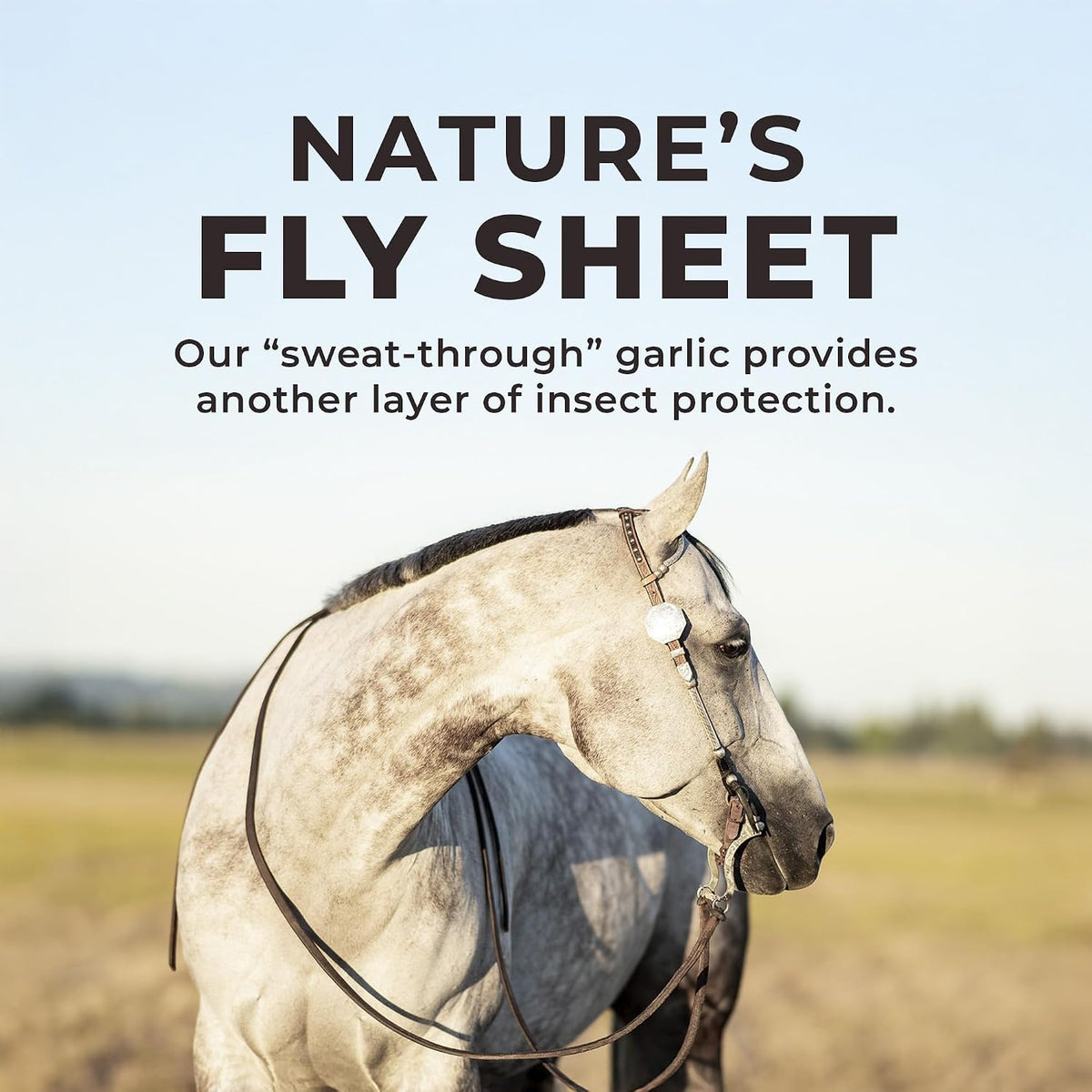 Daily Red Crushed Garlic | Horse Minerals & Vitamins Supplement | Garlic for Horses