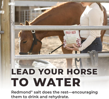 Daily Red Crushed Garlic | Horse Minerals & Vitamins Supplement | Garlic for Horses