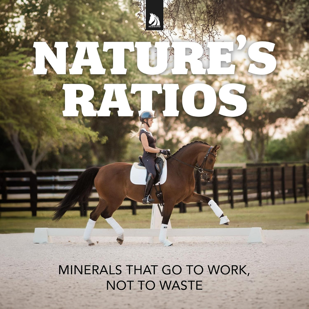 Daily Red Crushed Garlic | Horse Minerals & Vitamins Supplement | Garlic for Horses