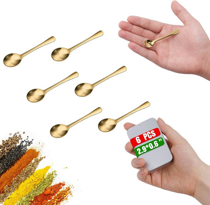 6PCS Tiny Spoons - Mini Stainless Steel Spoons 2.9 inch for Salt Jars Spice Jars, SUS 304 Food Grade Seasoning Spoon for Powder Spices, Pepper, Sugar, Coffee