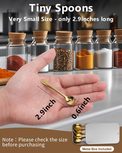 6PCS Tiny Spoons - Mini Stainless Steel Spoons 2.9 inch for Salt Jars Spice Jars, SUS 304 Food Grade Seasoning Spoon for Powder Spices, Pepper, Sugar, Coffee