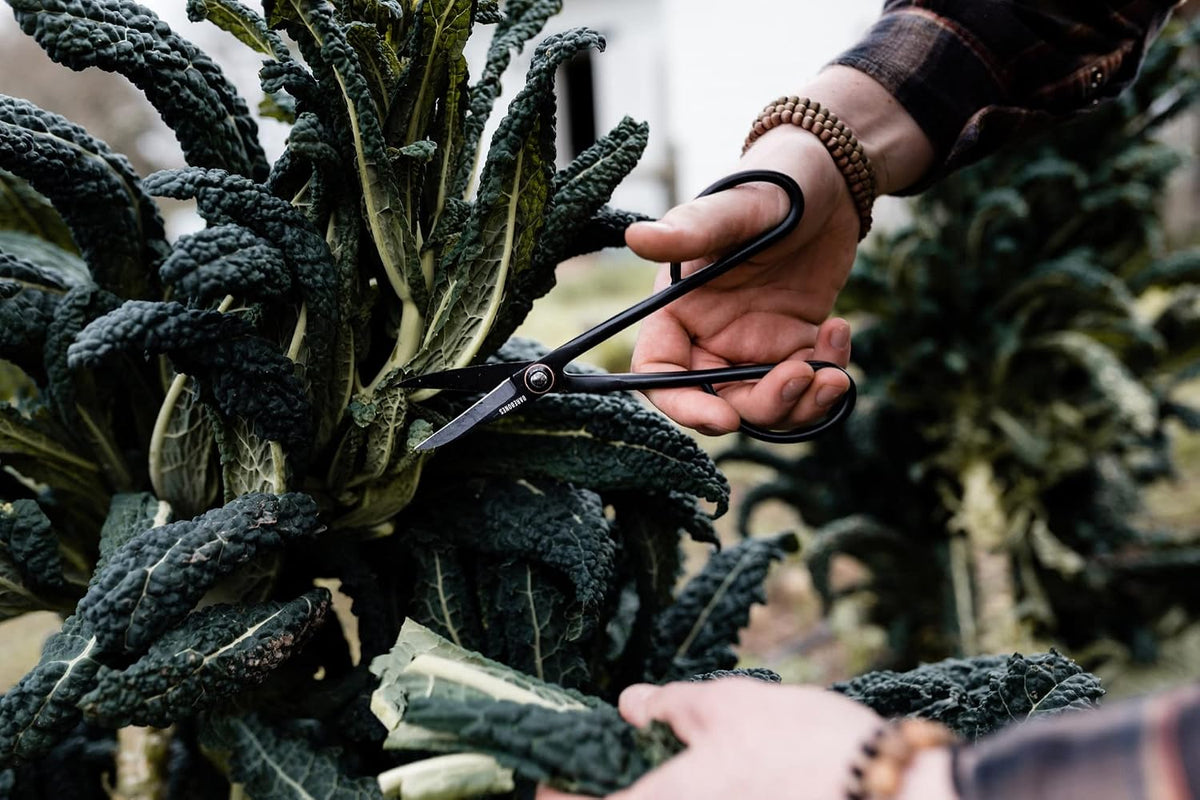 Artisan Trimming Shears - Gardening Shears and Herb Scissors - Essential Gardening Tools for Herb Gardens and Planting - Rust-resistant Garden Clippers